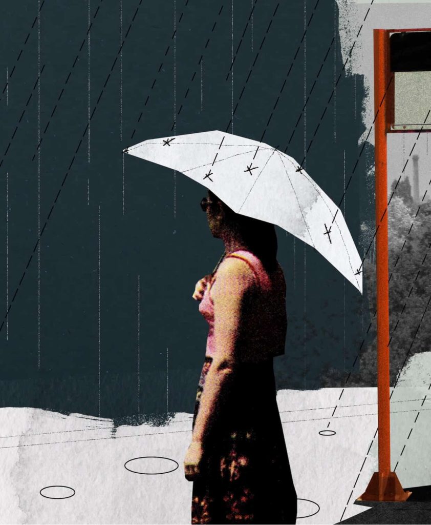 bus stop the hollies umbrella