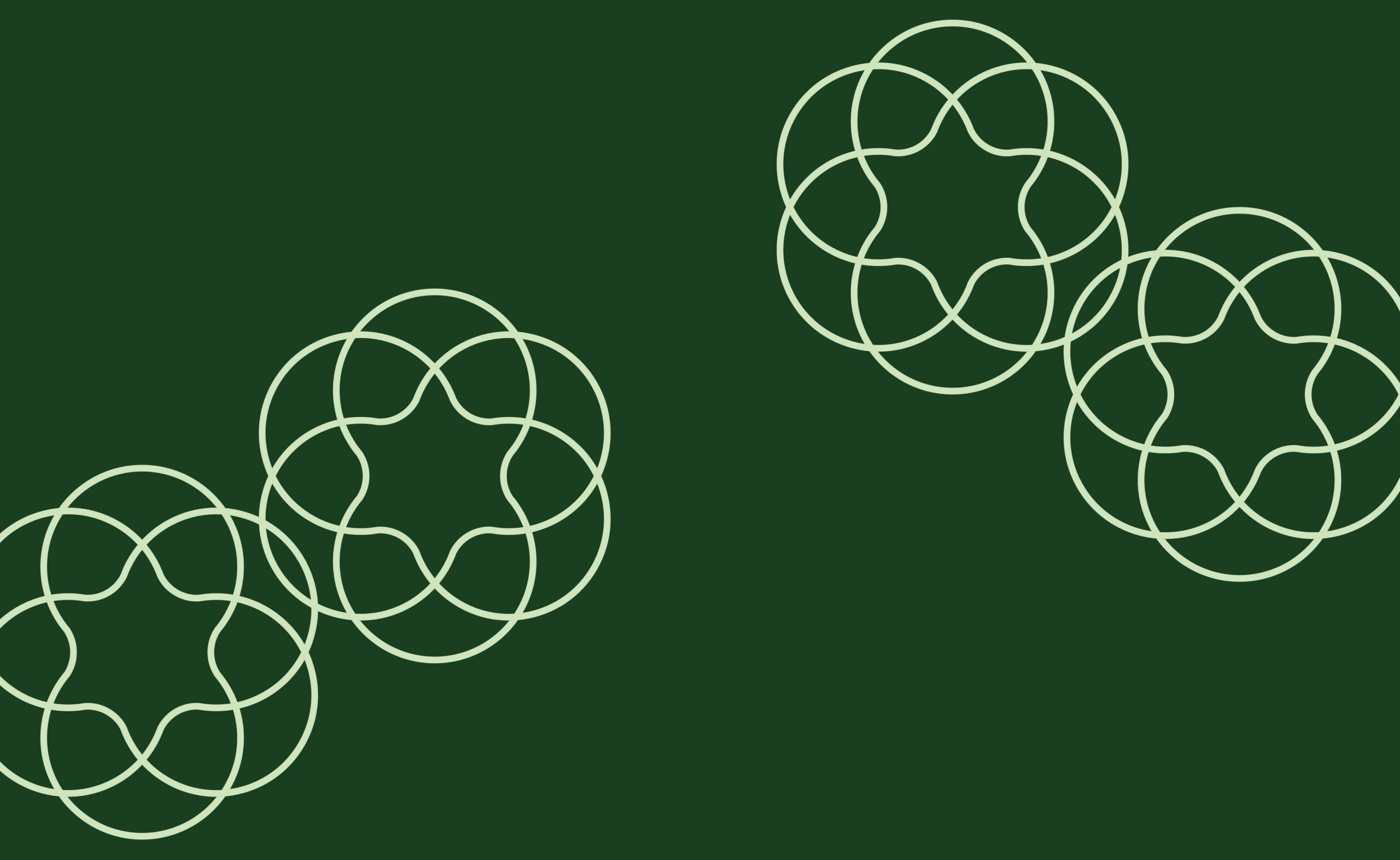 2026_06_Website_Asset_Meet_the_Team
